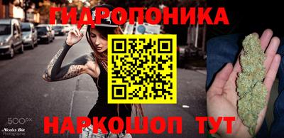 гидропоника Заводоуковск