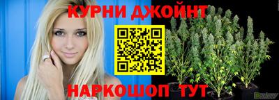гидропоника Заводоуковск