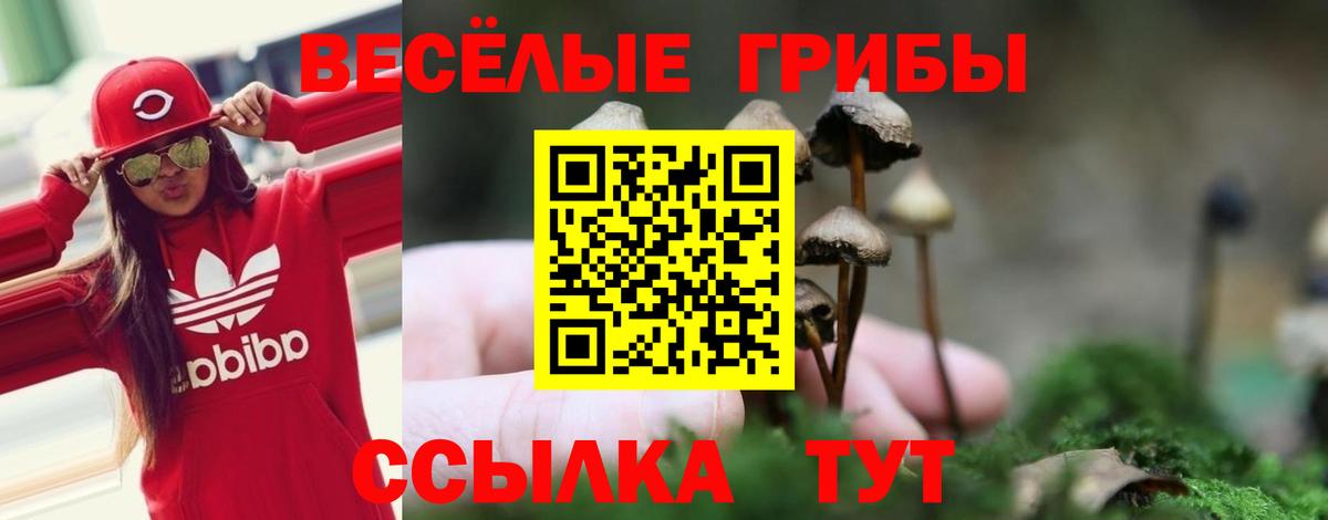 Галлюциногенные грибы мицелий Малоярославец